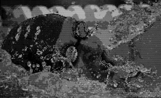 schwimmer_perfo-art-fill-320x195